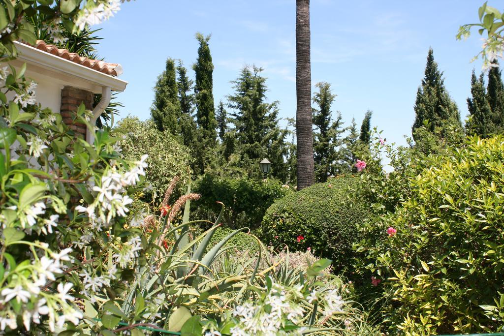 Cortijo Andaluz Bed and Breakfast Alhaurín el Grande Buitenkant foto