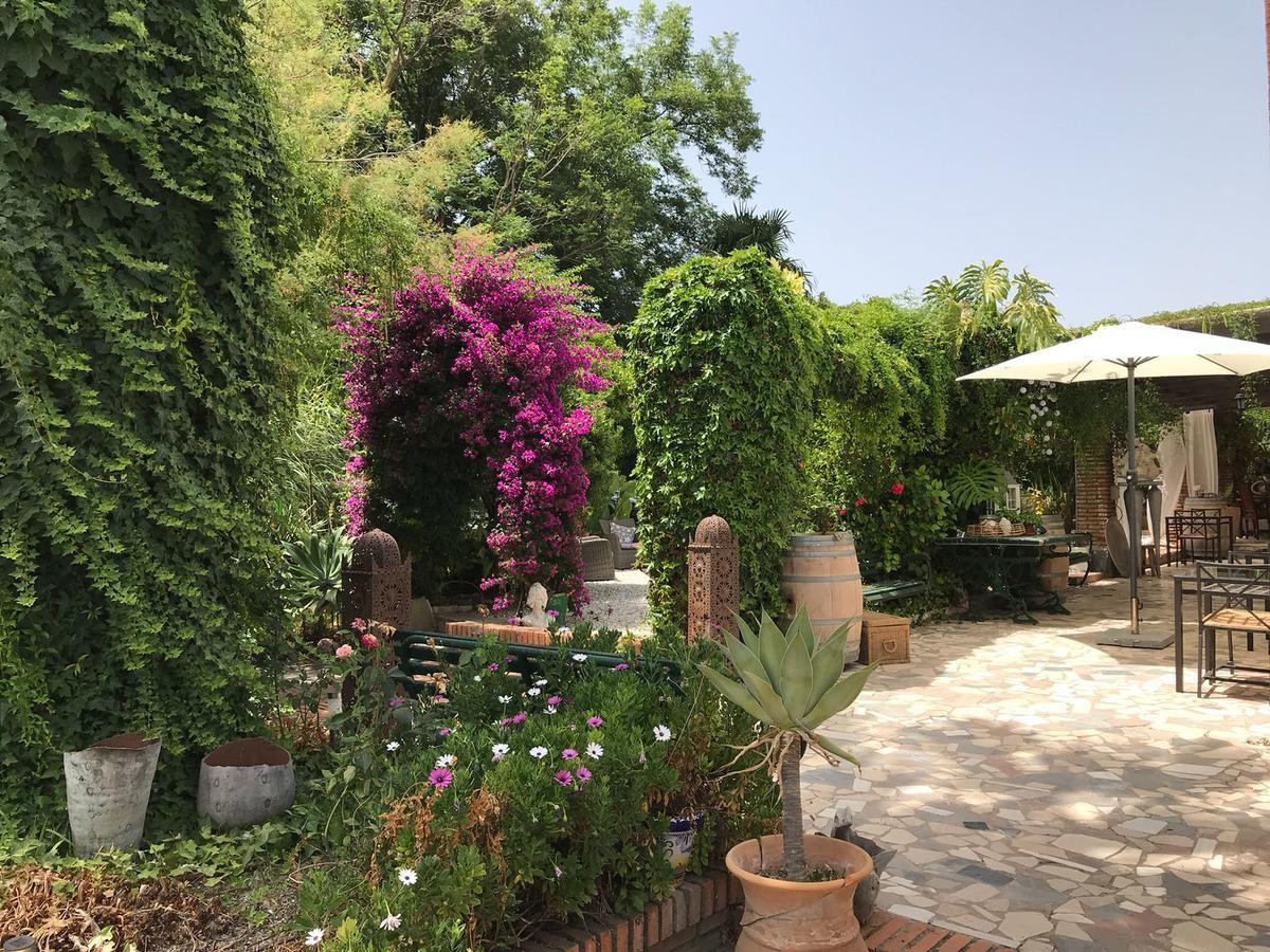 Cortijo Andaluz Bed and Breakfast Alhaurín el Grande Buitenkant foto