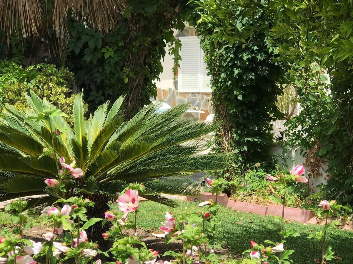 Cortijo Andaluz Bed and Breakfast Alhaurín el Grande Buitenkant foto
